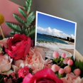 thumbnail image 3 of 3drose, Beach on Maui Hawaii, 6 Greeting Cards with Envelopes, 3 of 7