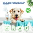 thumbnail image 5 of Pet Your Pet Natural Shampoo for Senior Dogs - Nourishing & Revitalizing Formula, 16 oz, 5 of 6