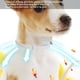thumbnail image 4 of Suministros Para Mascotas, Collar Para Mascotas Con Mosquitos, Gato Para Perro, 4 of 8