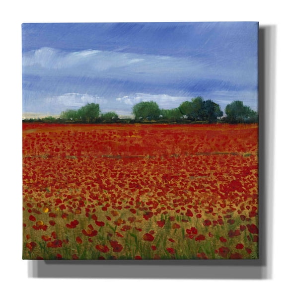 Epic Graffiti 'Field of Poppies II' by Tim O'Toole, Canvas Wall Art, 18"x18"