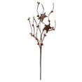 thumbnail image 1 of Holiday Combo Pip & Star Pick 12", 1 of 1