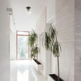 thumbnail image 2 of Harrow 1-Light Matte Black Semi-Flush Mount Ceiling Light with Gold Accent Socket and Clear Glass Shade, 2 of 8