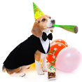 thumbnail image 4 of Conjunto de esmoquin para perro PUMYPOREITY 2XL, pajarita formal negra, 4 of 7