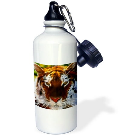 

Fractal Color Outlined Bengal Tiger 21 oz Sports Water Bottle wb-97855-1