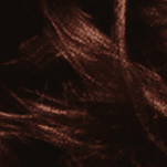 4R Dark Auburn