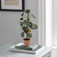 thumbnail image 2 of Nature's Mark 17’’H Artificial Apple Tree Plant in Ceramic Pot, 2 of 5