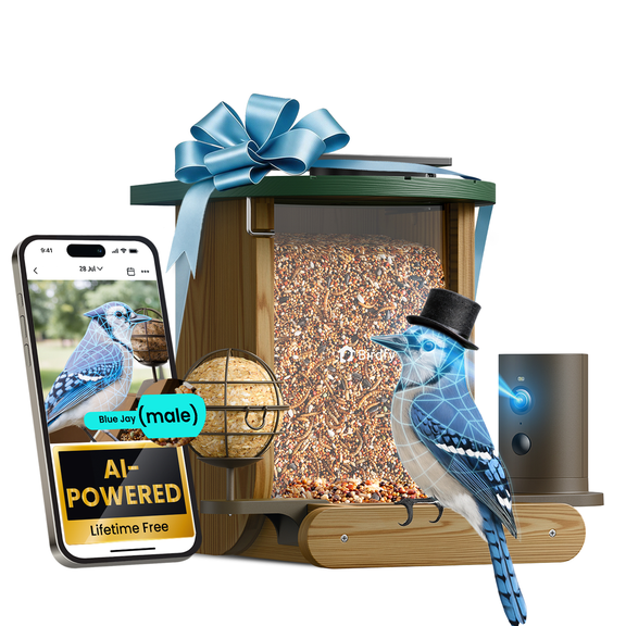 Birdfy Smart Bird Feeder with Camera, 1080P HD Bird Feeder Camera with AI Bird Identification, Solar Powered, Motion Detection & Real-Time Alerts, Suet Ball Holder for Outdoor Birdwatching