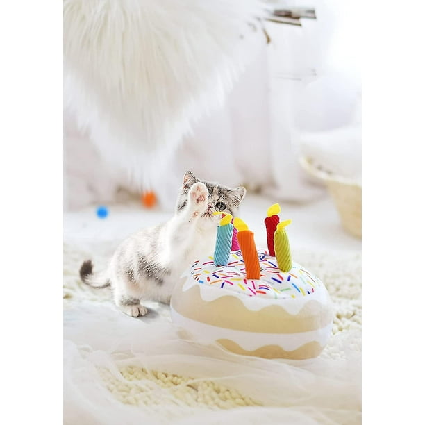 Cake for dogs walmart outlet