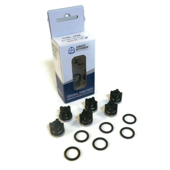 OEM Annovi Reverberi Check Valve Kit with O-Rings for MTM Hydro 49.6073, 496073 Pump