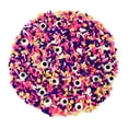 thumbnail image 4 of Mystic Sprinkles A Cheshire Grin Sprinkle Mix 3.3 oz., 4 of 6