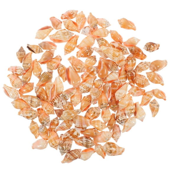 PAMINGONO Seashell Room Decor Diy Sea Shell Conch Decorations Assorted Color 100Pcs