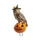 thumbnail image 4 of Estaca de jardín con calabaza decorativa, letrero metálico de animal, inserto de suelo de hierro duradero para búho, 4 of 9