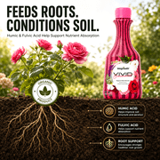 Biogrowth Vivid Organic Plant Food & Fertilizer - Indoor & Outdoor Flowers, Lawns and Ornamentals, 8.45oz (1-0-1) Ultra Concentrated Liquid Bloom Booster with Enzyme Blend