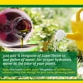 thumbnail image 4 of Vitaminas y hormonas SuperThrive Advanced de Plant Nutrition, 120 ml, 4 of 5