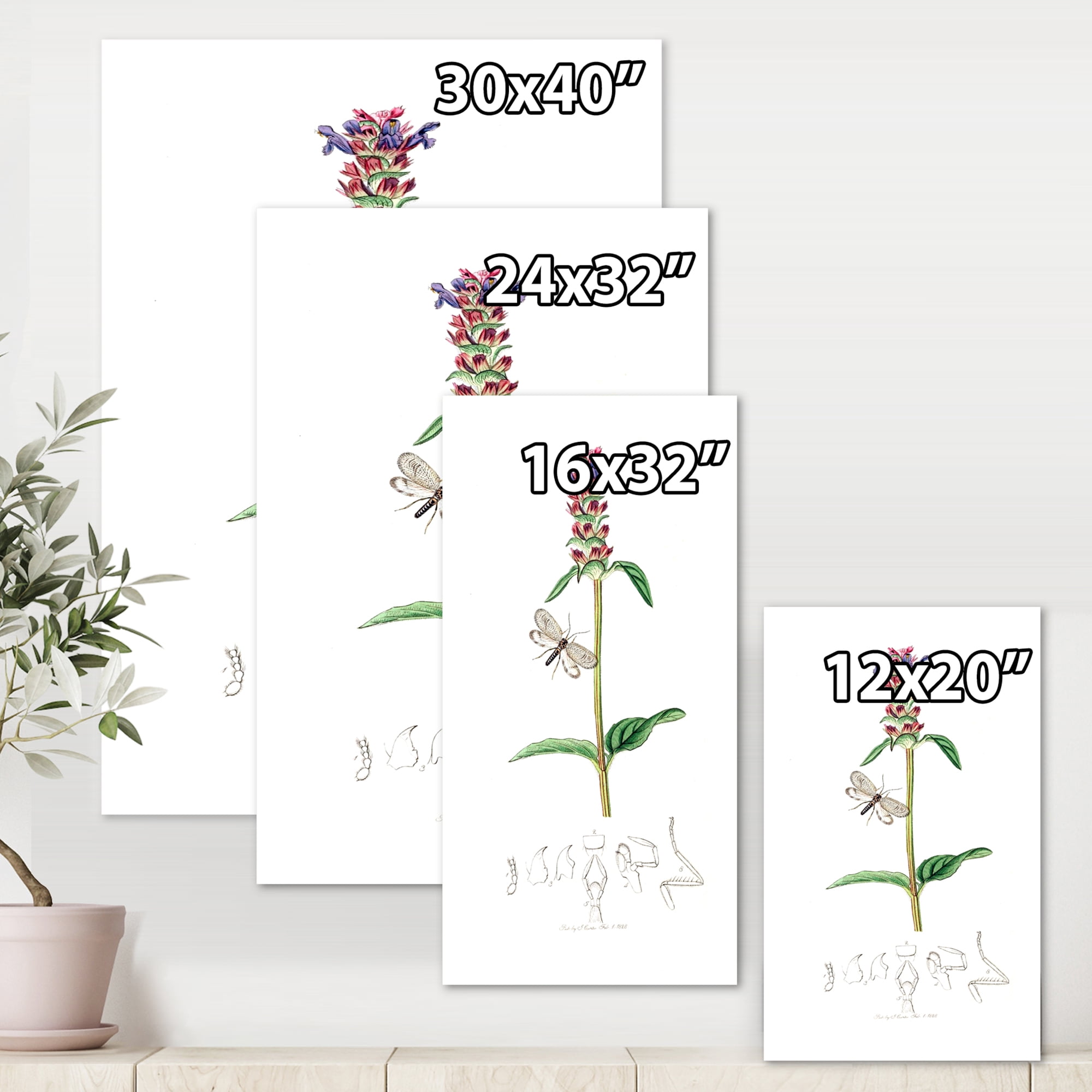 Designart ' Ancient Insects and Plants II ' Farmhouse Canvas Wall Art Print