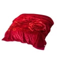 thumbnail image 6 of Bxaolu Korean Mink Blanket, Fleece Bed Blanket - 2 Ply Reversible Silky Soft Plush Warm Blanket for Autumn Winter, Floral Printed Bed Blanket, 59"x79", Multicolor, 6 of 6