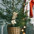 thumbnail image 3 of Gymnture 2pcs Christmas Flower Stems Christmas Flower Decoration Xmas Flower Picks, 3 of 10