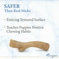 thumbnail image 5 of Nylabone Strong Chew Gourmet Style Stick Puppy Chew Toy Chicken Medium (1 Count), 5 of 15