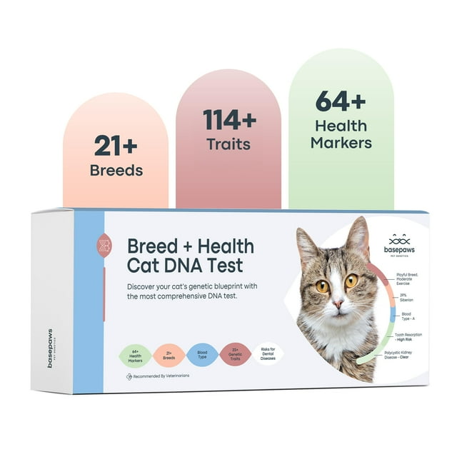 Kit de prueba de ADN para gatos Basepaws, análisis integral de raza y salud