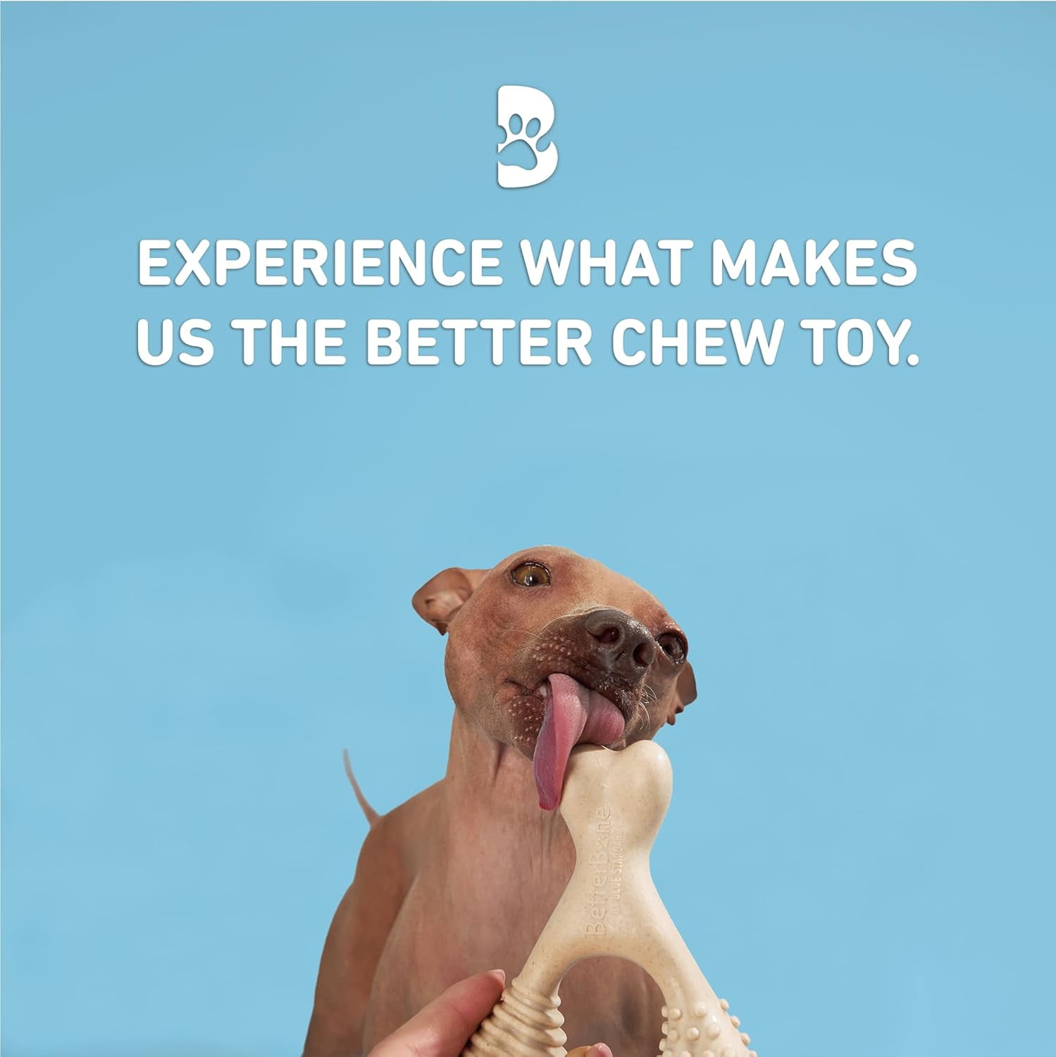 Betterbone DOG Bones Soft Beef Flavor for Large Dogs for light to moderate chew