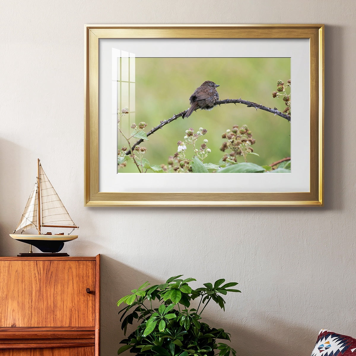 Resting Sparrow Premium Framed Print - Ready to Hang