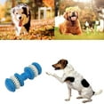 thumbnail image 2 of Dumbbell Shaped Cat Chewing Trainning Playing Toys , Made from Rubber Blue_S, 2 of 10