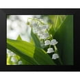 thumbnail image 2 of Bonin, Suzanne 24x19 Black Modern Framed Museum Art Print Titled - May Lilies, 2 of 5