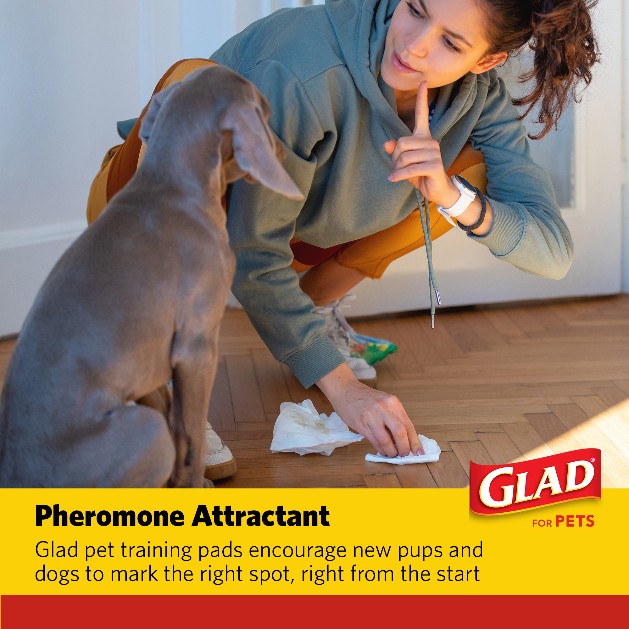 Glad Giant Activated Charcoal Training Pads, 30x36, 24 Count photo 7