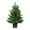 Medium, variant on Artificial Norfolk Pine Potted Trees, Realistic Faux Christmas Greenery for Tabletop, Mantel, Entryway & Holiday or Year-Round Home Decor
