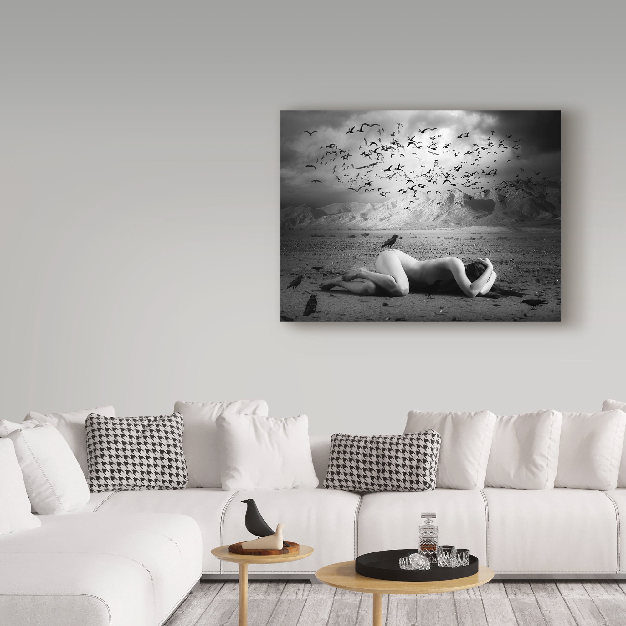 Black Bird Land 47 in x 35 in Photography Canvas Art Print, by Trademark Art