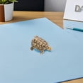 thumbnail image 2 of 2pcs Mini Brass Turtle Statue Feng Shui Lucky Tortoise Figurines for Home Decor and Tea Pet Vintage, 2 of 2