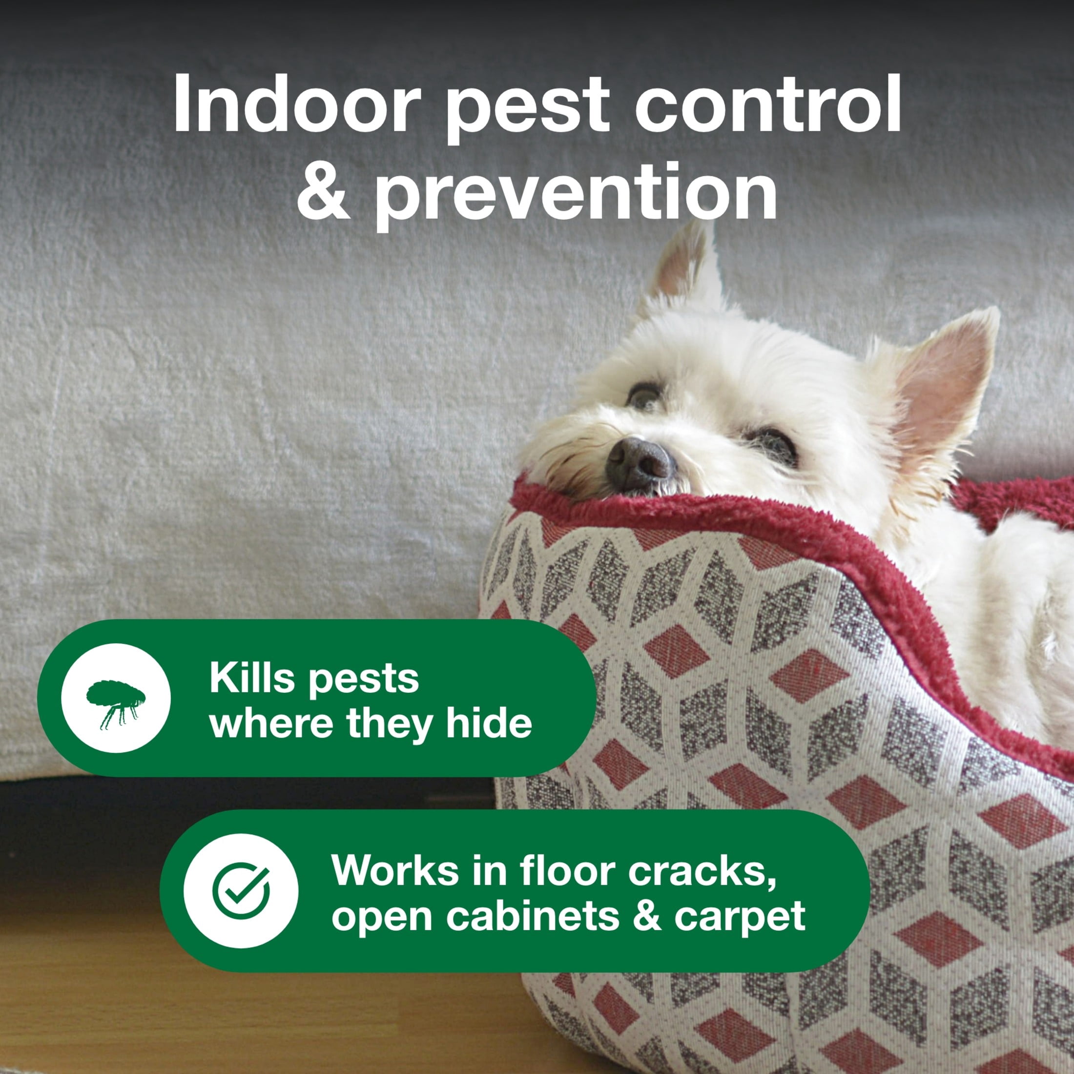Advantage Household Fogger, Kills Fleas & Ticks, Flea Fogger for Home, 2 oz. (Pack of 3)