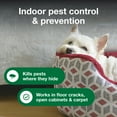 Advantage Household Fogger, Kills Fleas & Ticks, Flea Fogger for Home