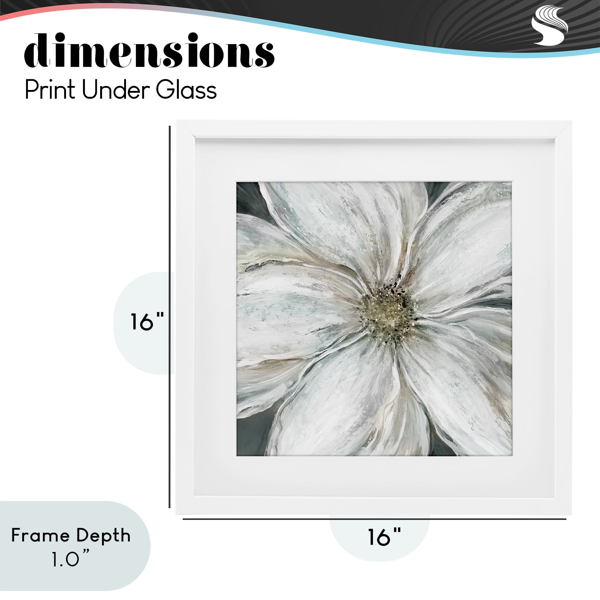Stupell Industries Closeup Serene White Blossom White Framed Print Under Glass, design by Carol Robinson