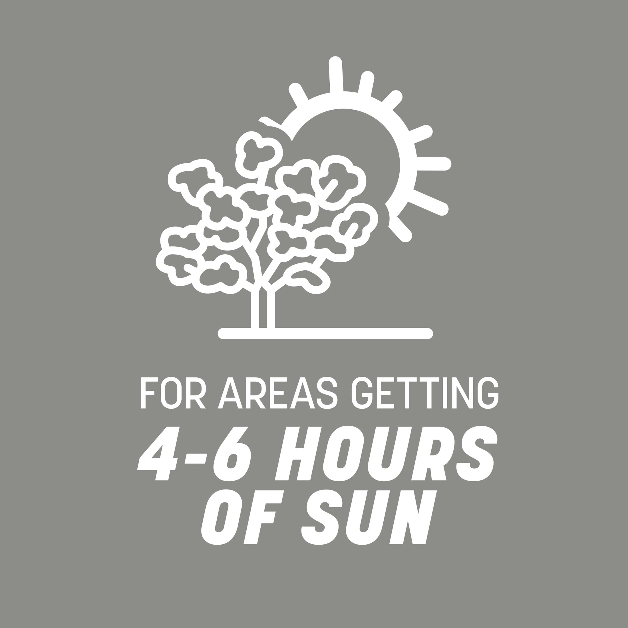 Pennington Central Contractors Grass Seed Mix, for Sun to Moderate Shade, 40 lbs.