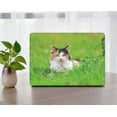 thumbnail image 4 of KSK KAISHEK Plastic Hard Case Cover Only for 2010 2011 2012 2013 2014 - 2017 Rel. MacBook Air 13" No Touch Model: A1466 & A1369 Animal 146, 4 of 5