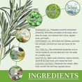 thumbnail image 5 of Rosemary Oil For Hair And Scalp-hair Oil For Hair Loss To Stimulate Hair Growth With Castor Oil 50 Ml Yo, 5 of 5