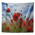 DESIGN ART Designart 'Bright Red Poppy Flowers Photo' Flower Wall