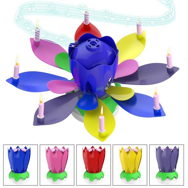 Starynighty Birthday Cake Flower Candles with Happy Birthday Music