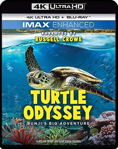 turtle odyssey 3 in 1 zip download