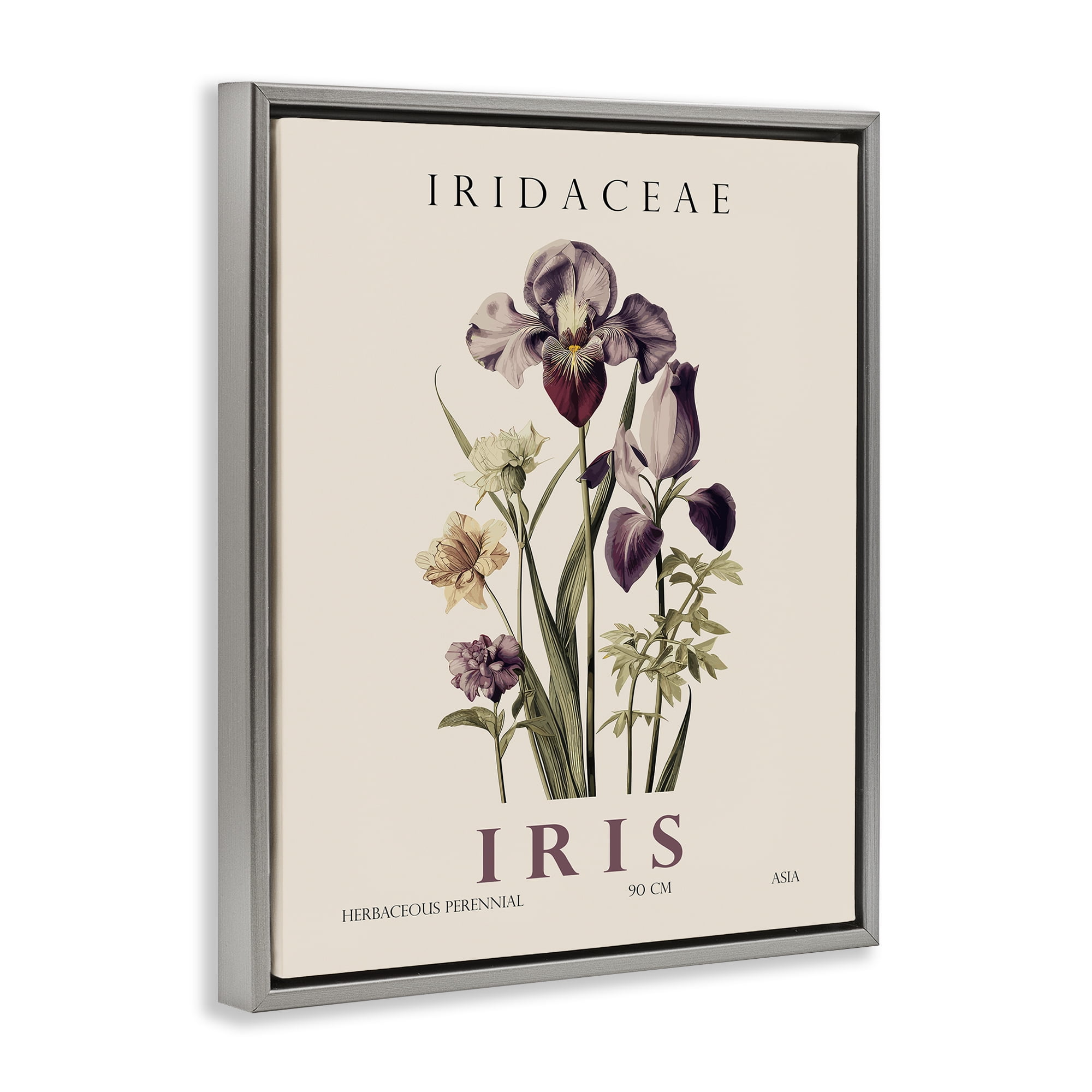 Stupell Industries Natural Iris Bundle Gray Framed Floater Canvas Wall Art, design by Christopher Giampietro