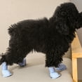 thumbnail image 5 of Foqnuq Dog Boots for Small Dogs, Adjustable Snow Booties, Paw Protection, Non-Slip Rubber Soles, Cozy Indoor/Outdoor Use, Winter Walking, Pack of 4, 5 of 5