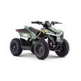 thumbnail image 1 of Droyd Fury, Electric Youth ATV, 1 of 6