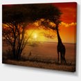 thumbnail image 2 of Typical African Sunset with Giraffe - Oversized African Landscape Canvas Art, 2 of 3