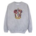thumbnail image 1 of Harry Potter Girls Gryffindor Sweatshirt, 1 of 7