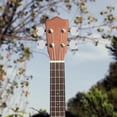 thumbnail image 3 of 6 Ensembles de Capuchons de Tuner pour Instruments à Cordes Guitare Robuste Poignées de Tuner, 3 of 8