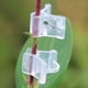 thumbnail image 5 of Abrazadera para plantas, abrazadera para injerto, abrazadera para injerto de plántulas de tomate, 100 Uds., abrazadera para injerto de 2mm y 2mm, 5 of 5