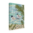 thumbnail image 2 of Trademark Fine Art 'Two Sea Birds' Canvas Art by Karen Fields, 2 of 3