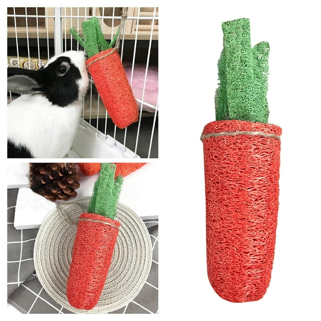 Natural Loofah Carrot Chew Toy for Dogs Cats and Rabbits Interactive Pet Teething Holder with Durable TPR Material