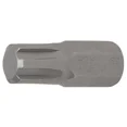 thumbnail image 1 of PUNTA RIBE | 30 MM M10 | BGS 4765, 1 of 1